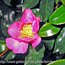 normal_IMG_0018_bearbeitet_exposure_Medium.jpg