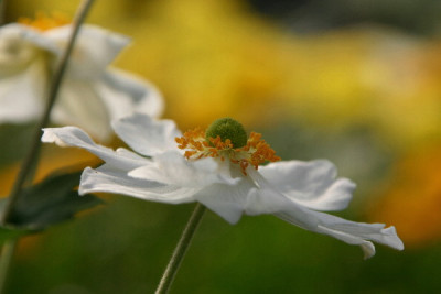 Herbst-Sep-7.jpg