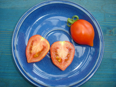wintertomate.frucht.jpg
