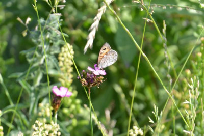 DSC_8734.JPG