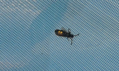 20150609_174049.jpg