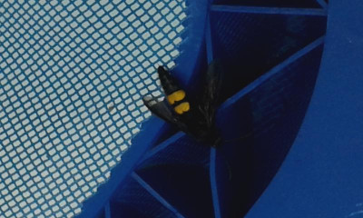 20150609_174207.jpg