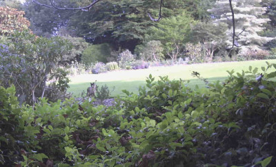 OttoRimg0095.JPG