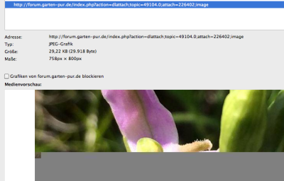 Bildschirmfoto 2015-06-10 um 09.25.00.png