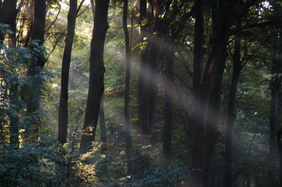 herbstlicht_N14780.jpg