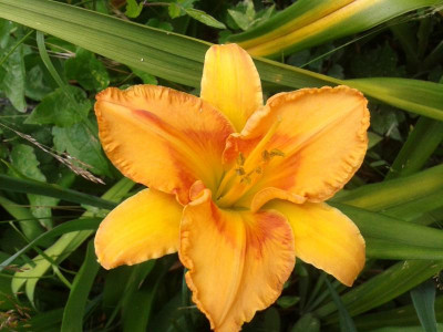 20150610_100711.jpg