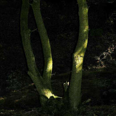 Lichtblick_Effels_18-09-05.jpg
