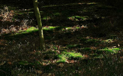 Lichtblick_Effels__2_18-09-05.jpg