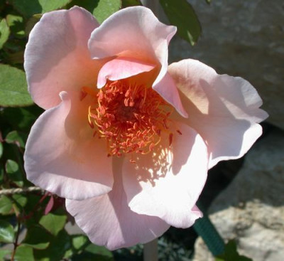 Meg_9711_91.jpg
