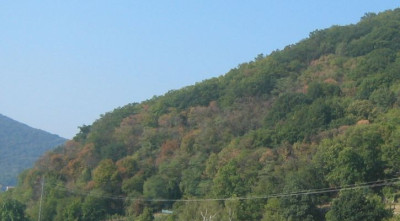 Trockenheit01.jpg