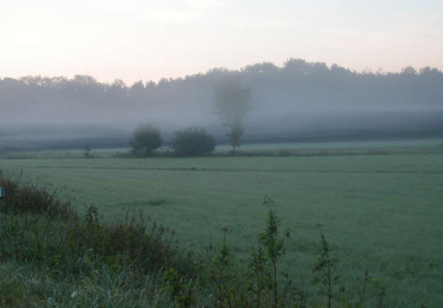 nebel_teningen2.jpg