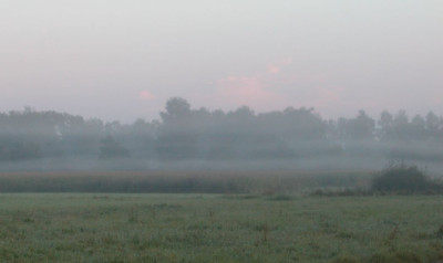 nebel_teningen3.jpg