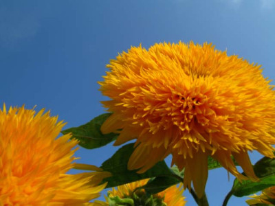 DSCN8863.jpg