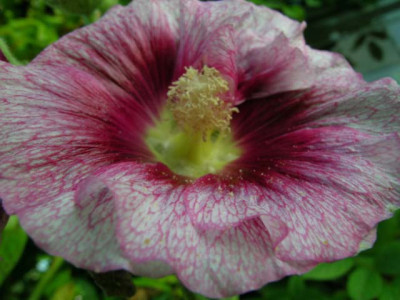 DSCN8848.jpg