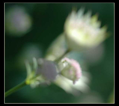 Traumbild_10-07-05.jpg