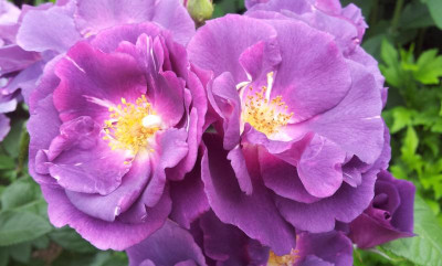 20150610_152204.jpg