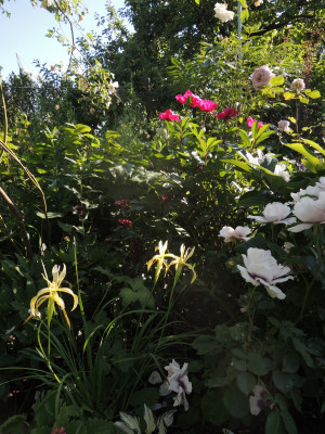 Garteneinblick68.JPG