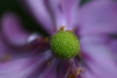 Herbst-Sep-9.jpg