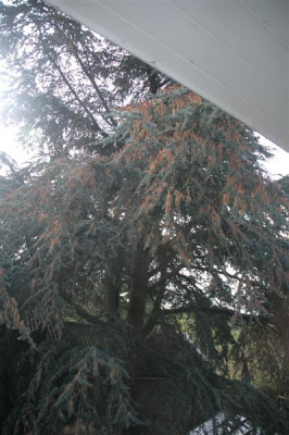 05H010_Medium.JPG