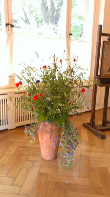 IMAG0679.jpg