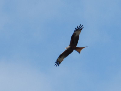 2015-06-12 Milan.jpg