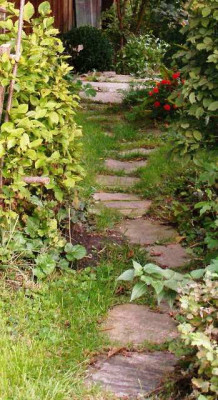 2005-09-22_weg_steinplatten.jpg