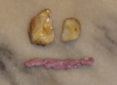 kaupech.jpg
