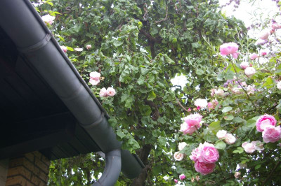Terrasse.112.jpg