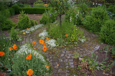Gemüsegarten.303.jpg