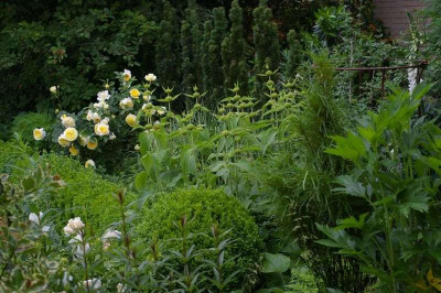 Gemüsegarten.202.jpg