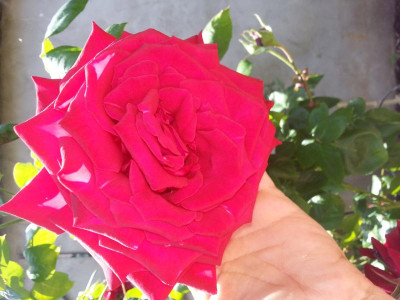 20150613_141001.jpg