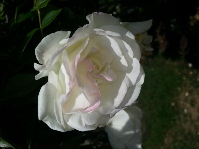 20150613_141128.jpg