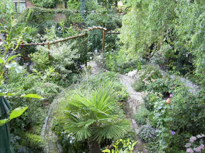 garten_0903.jpg