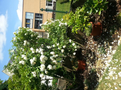 20150613_141019.jpg