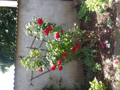 20150613_140943.jpg