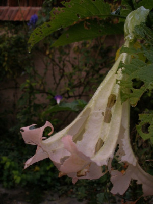 2005-10-06_morbider_abschied.jpg