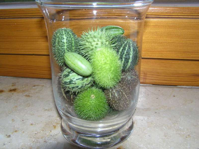 gurkenimglas.jpg
