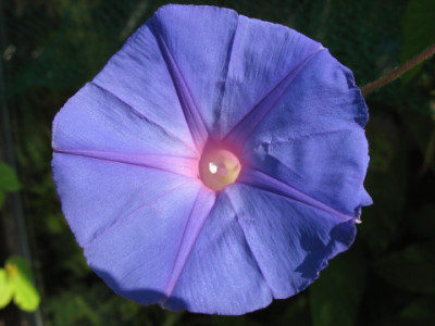 Picturetest_011_1_7_1.jpg