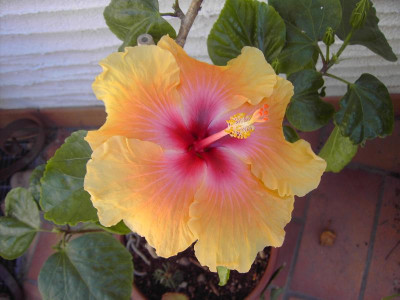 PICT0637.JPG