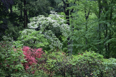 _DSC3966.jpg