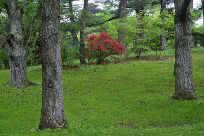 _DSC3969.jpg
