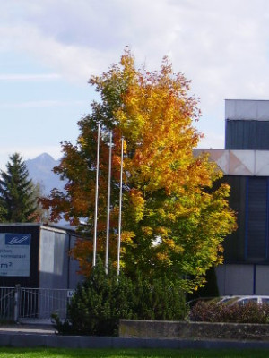 herstimpressionen.JPG
