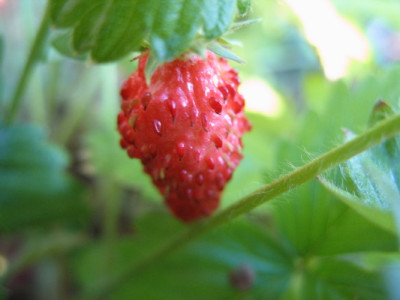 Picturetest_092_1_8_1.jpg