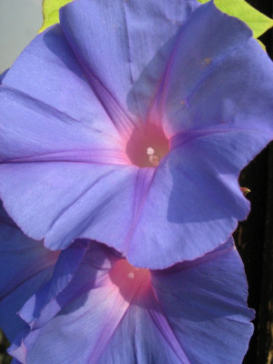 Picturetest_225_1_6_1.jpg