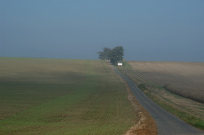 eifel_15689.jpg