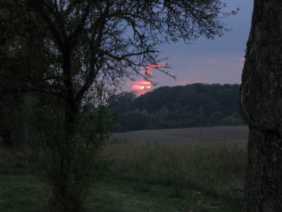 100_0046.jpg