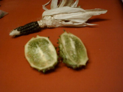 Kiwano_zerlegt.jpg