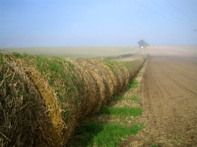 herbsttag.jpg