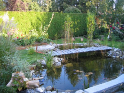 teich.JPG