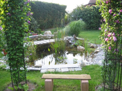 teich_1.JPG